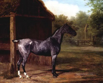 Horse Painting - dw019fD11 animal horses